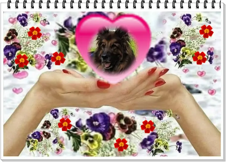 Andachtsbild von Dzień Dobry Misieńku❤️❤️❤️