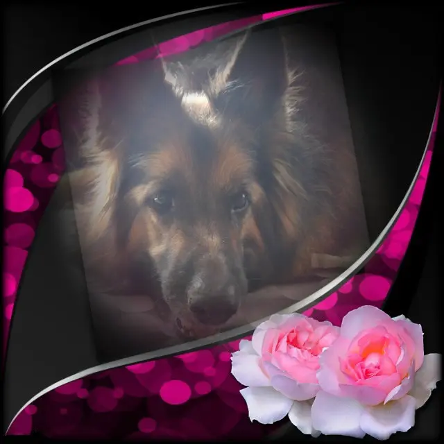 Andachtsbild von Dobrej Nocki Ukochany Misieńku❤️❤️❤️