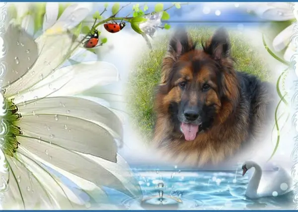 Andachtsbild von Kochany Misiu❤❤❤