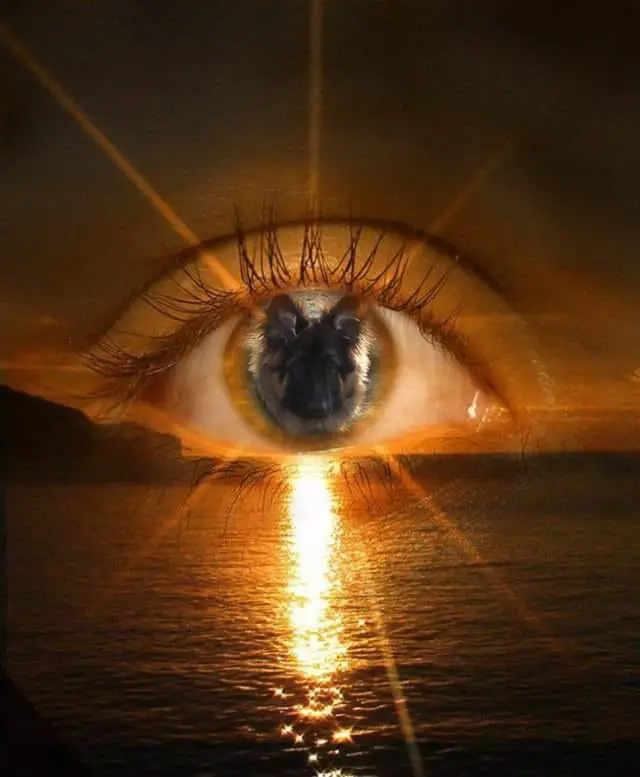 Andachtsbild von Dobrej Nocki Ukochany Misieńku❤️❤️❤️