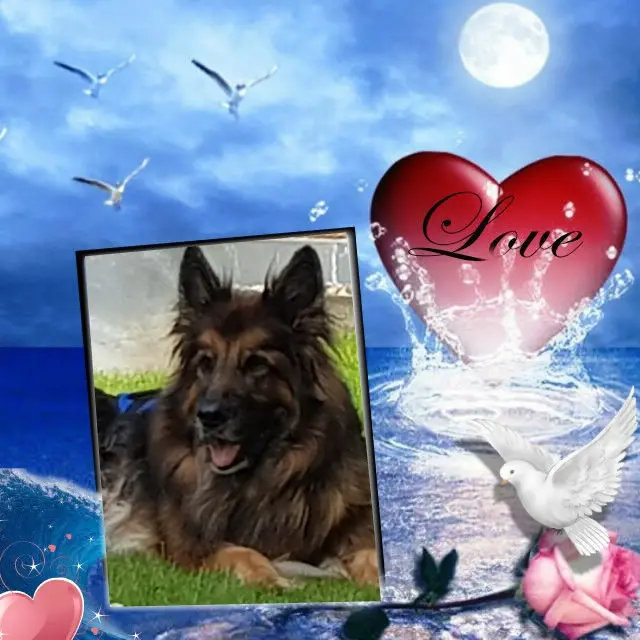 Andachtsbild von Kocham Cię❤❤❤