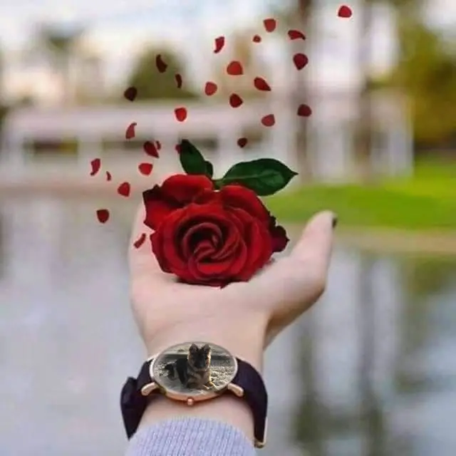 Andachtsbild von Dzień Dobry Misieńku❤️❤️❤️