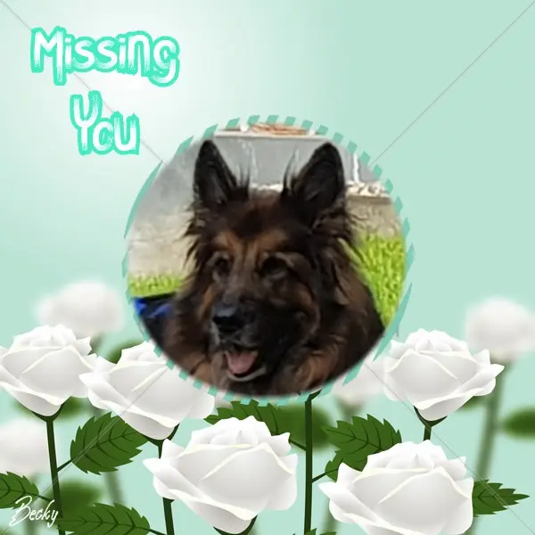 Andachtsbild von Dzień Dobry Misieńku❤️❤️❤️