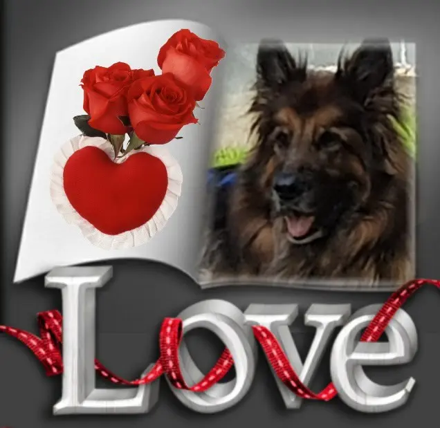 Andachtsbild von Dzień Dobry Misieńku❤️❤️❤️