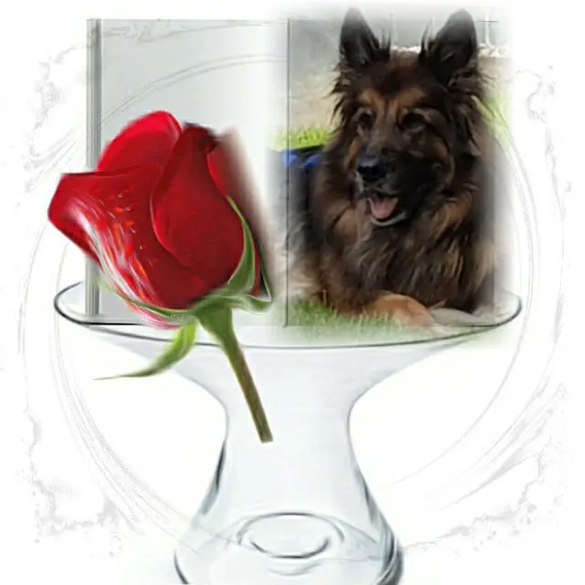 Andachtsbild von Kocham Cię❤❤❤