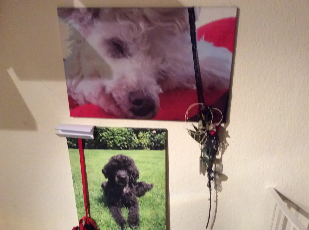 Andachtsbild von Heidi 