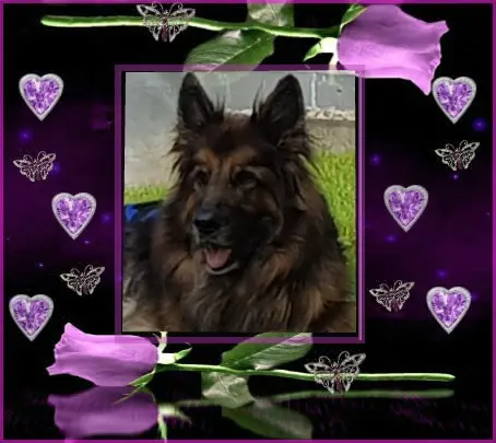 Andachtsbild von Dobrej Nocki Ukochany Misieńku❤️❤️❤️