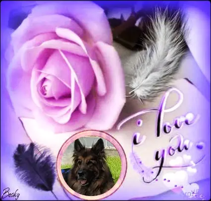 Andachtsbild von Dobrej Nocki Ukochany Misieńku❤️❤️❤️