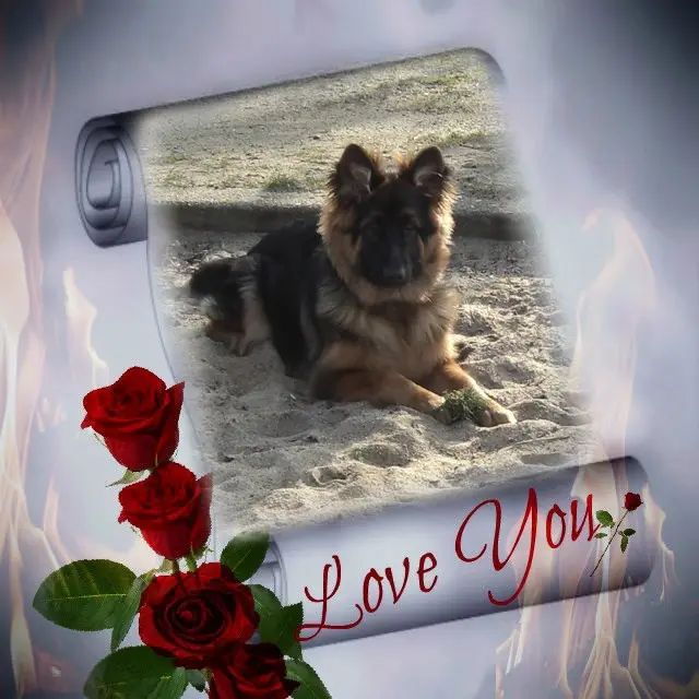 Andachtsbild von Dobrej Nocki Ukochany Misieńku❤️❤️❤️