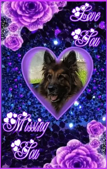 Andachtsbild von Dobrej Nocki Ukochany Misieńku❤️❤️❤️