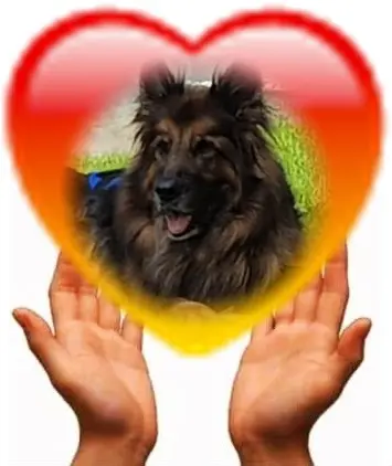 Andachtsbild von Dzień Dobry Misieńku❤️❤️❤️