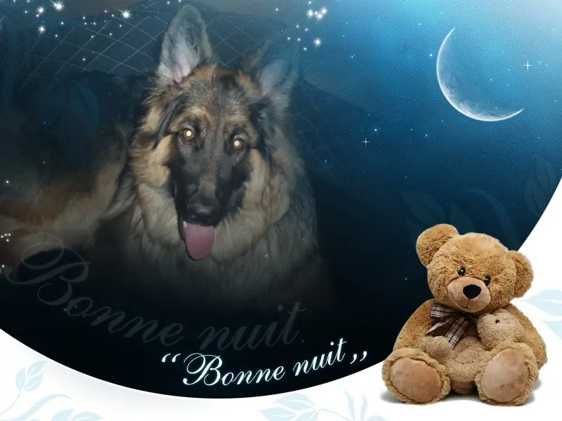 Andachtsbild von Dobrej Nocki Ukochany Misieńku❤️❤️❤️