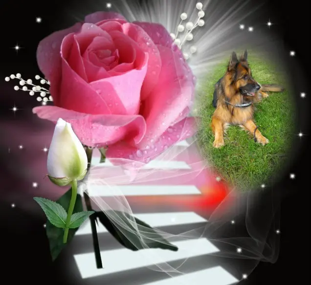 Andachtsbild von Dobrej Nocki Ukochany Misieńku❤️❤️❤️