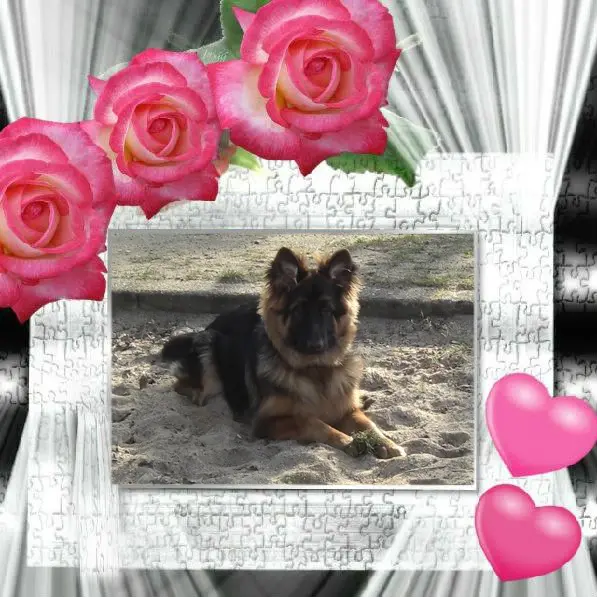 Andachtsbild von Dzień Dobry Misieńku❤️❤️❤️