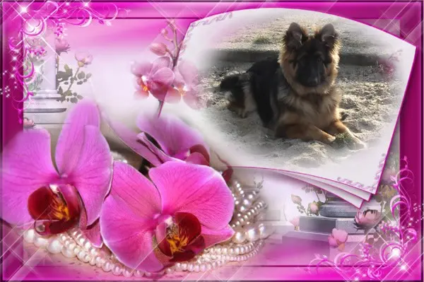 Andachtsbild von Dzień Dobry Misieńku❤️❤️❤️