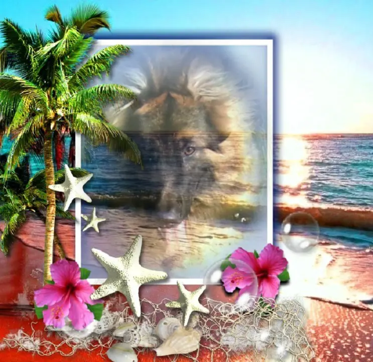 Andachtsbild von Kochany Misiu❤❤❤