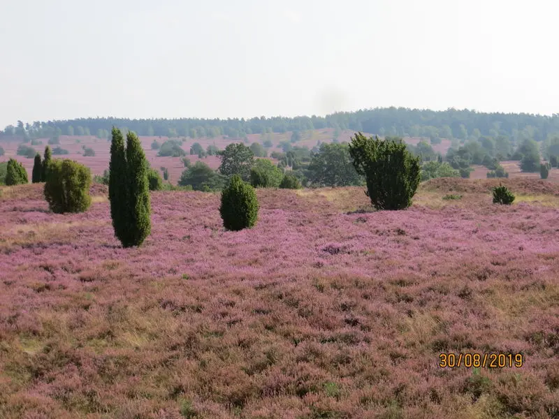 Andachtsbild von Uschi mit Seelenfreunden