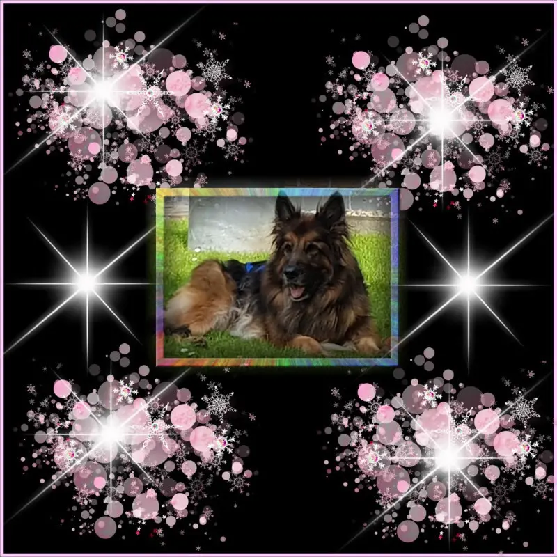 Andachtsbild von Dobrej Nocki Ukochany Misieńku❤️❤️❤️