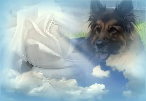 Andachtsbild von Dobrej Nocki Ukochany Misieńku❤️❤️❤️