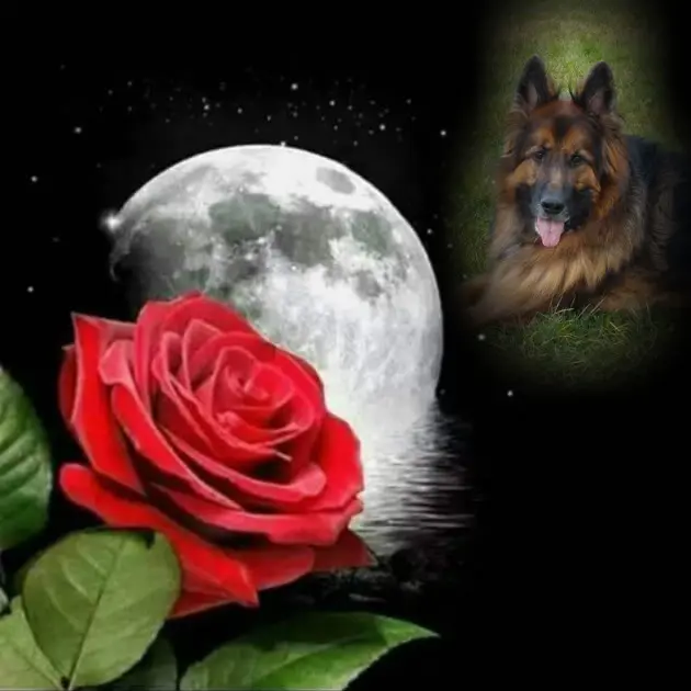 Andachtsbild von Dobrej Nocki Ukochany Misieńku❤️❤️❤️