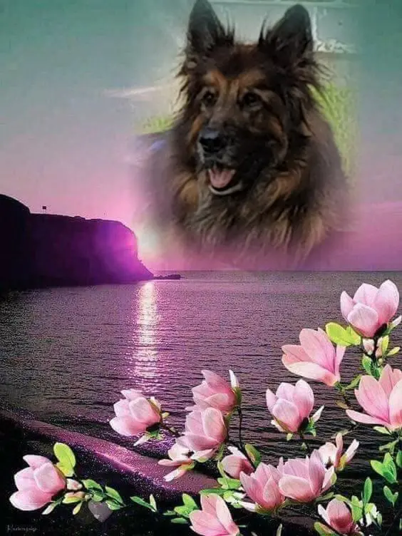 Andachtsbild von Dobrej Nocki Ukochany Misieńku❤️❤️❤️