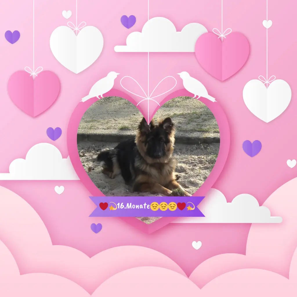 Andachtsbild von Kocham Cię❤❤❤