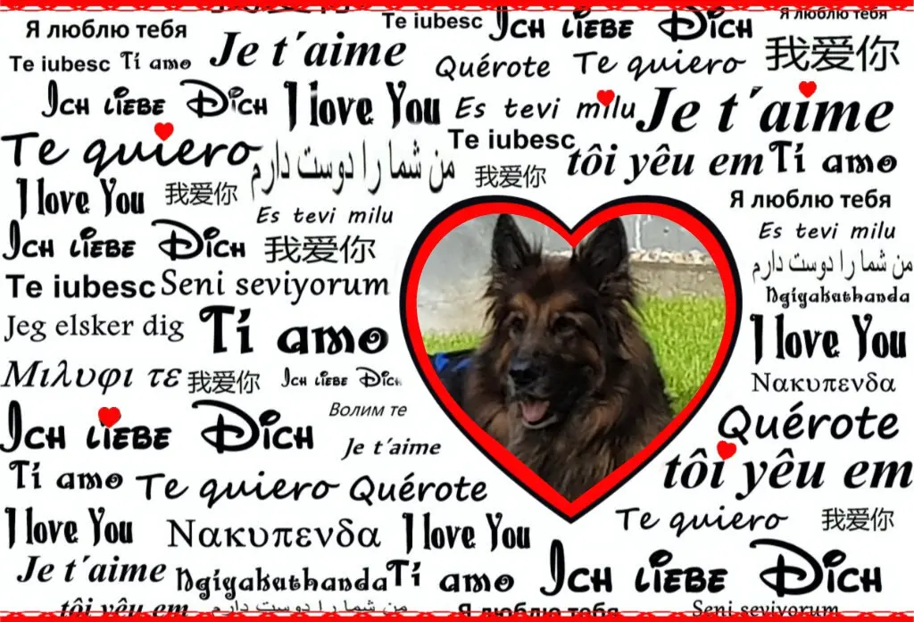 Andachtsbild von Dzień Dobry Misieńku❤️❤️❤️