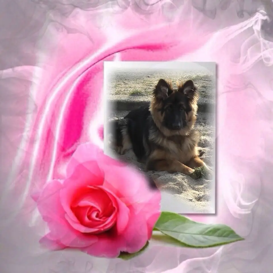 Andachtsbild von Dla Misiulka❤❤❤