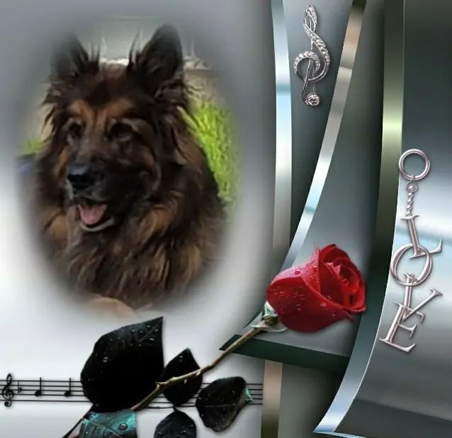 Andachtsbild von Dobrej Nocki Ukochany Misieńku❤️❤️❤️