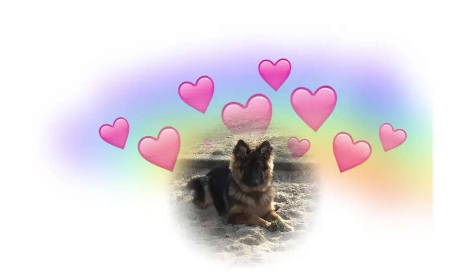 Andachtsbild von Dzień Dobry Misieńku❤️❤️❤️