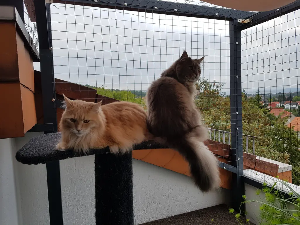 Andachtsbild von Ein lieber Gruß von Brigitta und Sam