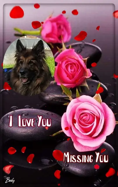 Andachtsbild von Dobrej Nocki Ukochany Misieńku❤️❤️❤️