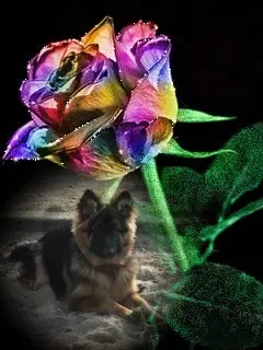 Andachtsbild von Dobrej Nocki Ukochany Misieńku❤️❤️❤️