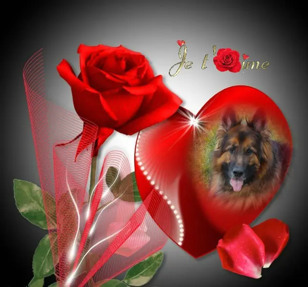 Andachtsbild von Dzień Dobry Misieńku❤️❤️❤️