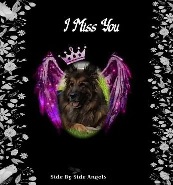 Andachtsbild von Dobrej Nocki Ukochany Misieńku❤️❤️❤️