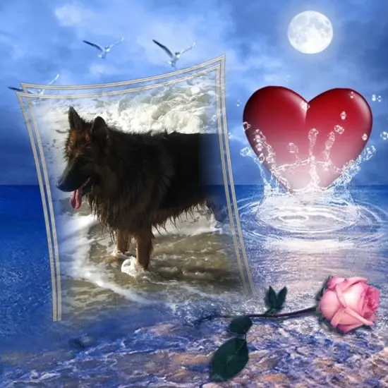 Andachtsbild von Dzień Dobry Misieńku❤️❤️❤️