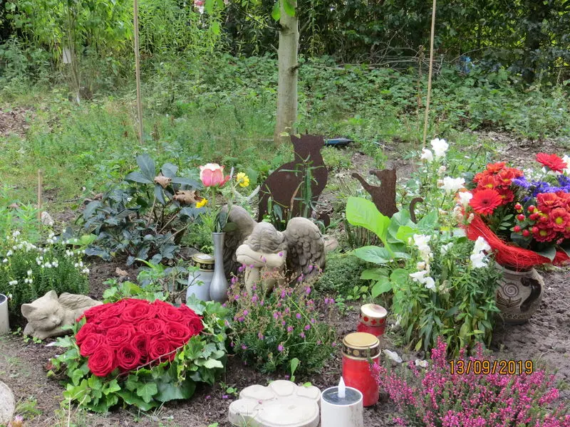 Andachtsbild von Uschi mit Seelenfreunden Shiva, Jojo und Merlin