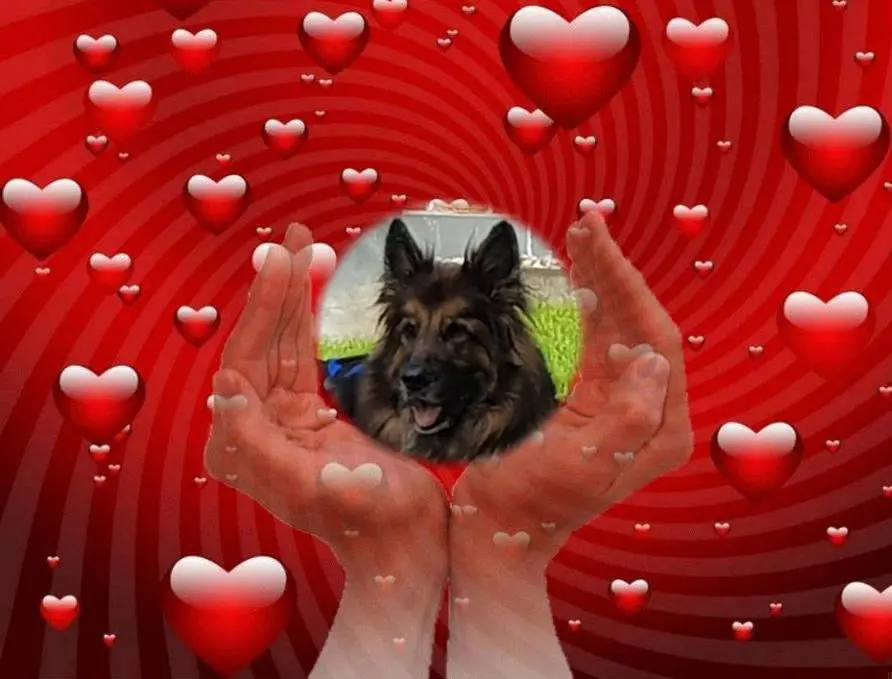 Andachtsbild von Dobrej Nocki Ukochany Misieńku❤️❤️❤️