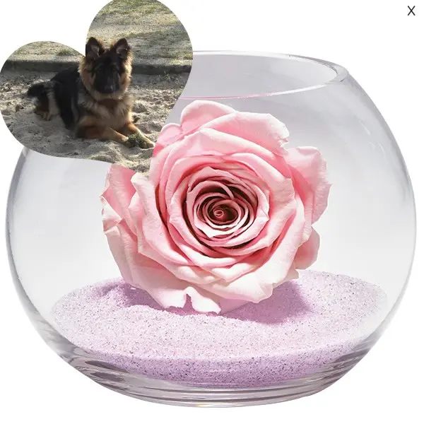 Andachtsbild von Dzień Dobry Misieńku❤️❤️❤️