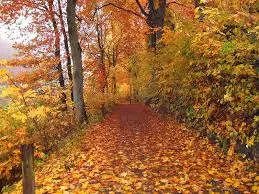 Andachtsbild von Jutta mit Purzel tief im Herzen ✟ 08.05.2016