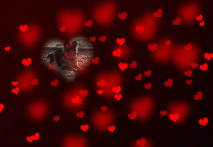 Andachtsbild von Dobrej Nocki Ukochany Misieńku❤️❤️❤️