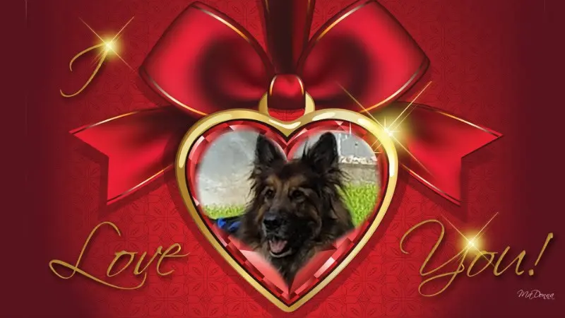 Andachtsbild von Dzień Dobry Misieńku❤️❤️❤️