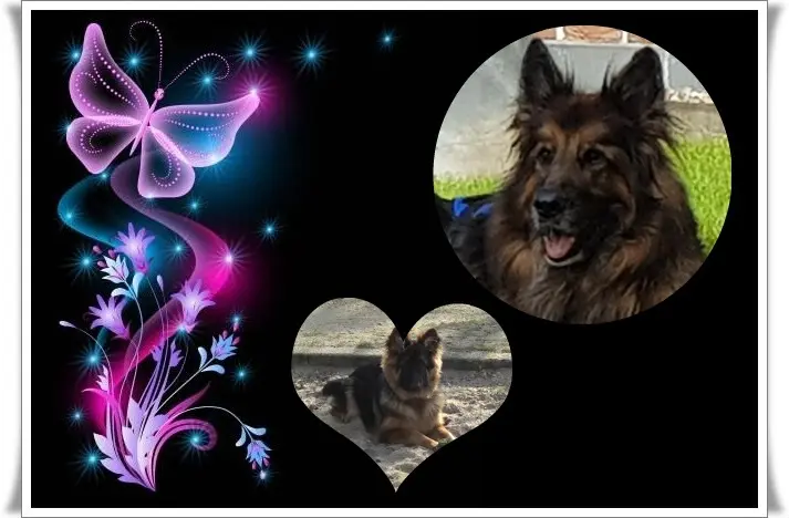 Andachtsbild von Dobrej Nocki Ukochany Misieńku❤️❤️❤️