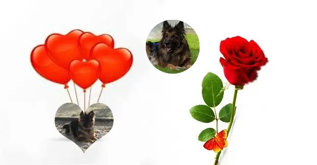 Andachtsbild von Dzień Dobry Misieńku❤️❤️❤️