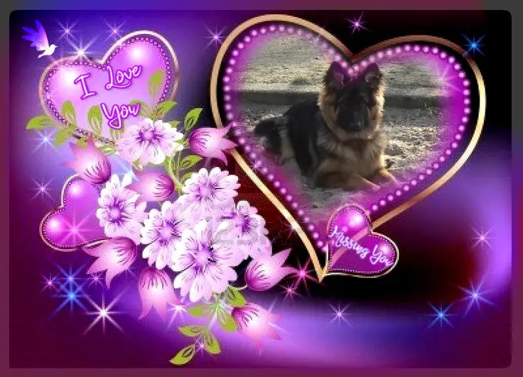 Andachtsbild von Dzień Dobry Misieńku❤️❤️❤️