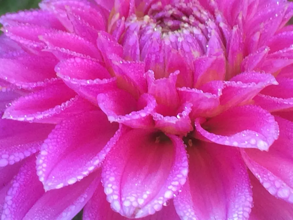 Andachtsbild von 500 Tage