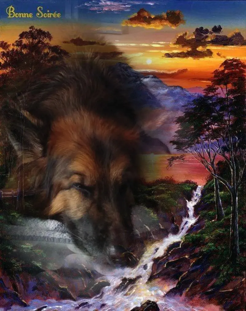 Andachtsbild von Dobrej Nocki Ukochany Misieńku❤️❤️❤️