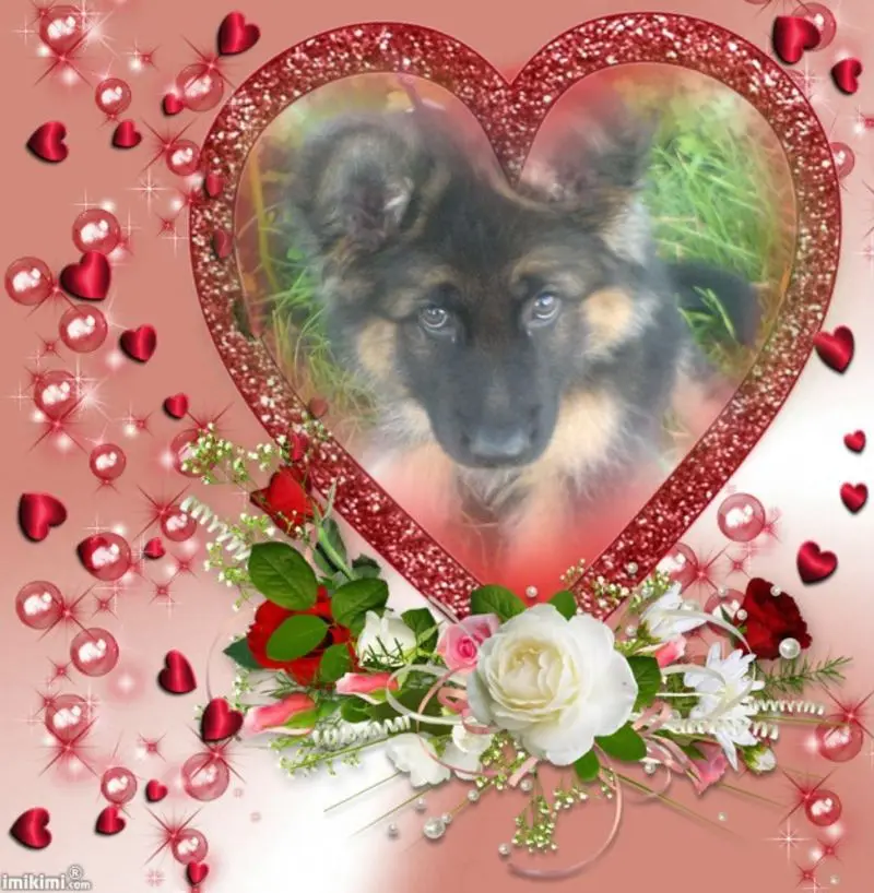 Andachtsbild von ❤️❤️❤️❤️❤️❤️❤️❤️❤️❤️❤️❤️❤️❤️