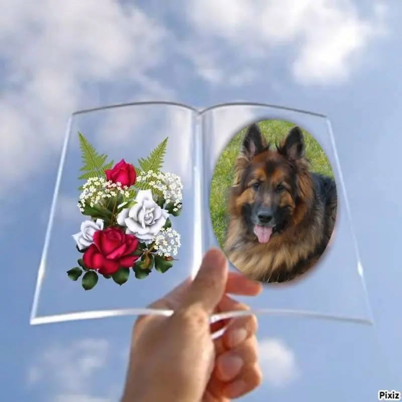 Andachtsbild von Dzień Dobry mój Ukochany❤️❤️❤️Misieńku❤️❤️❤️