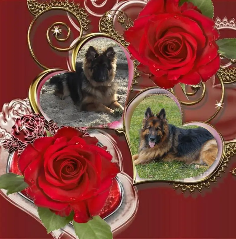 Andachtsbild von 3.Sternchen❤️❤️❤️Gedenktag❤️